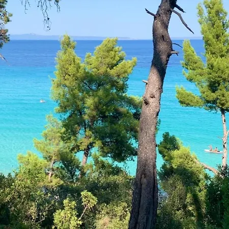 Forest Paradise * Kriopigi