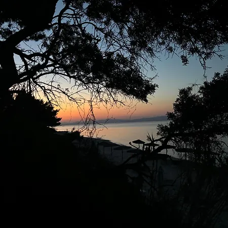 Forest Paradise Apartament