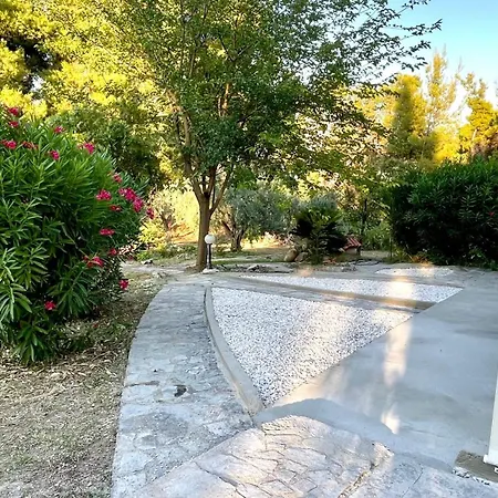 Forest Paradise Appartement *