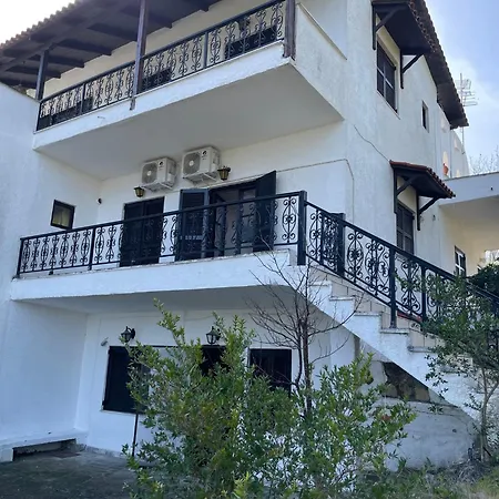 Forest Paradise Криопиги