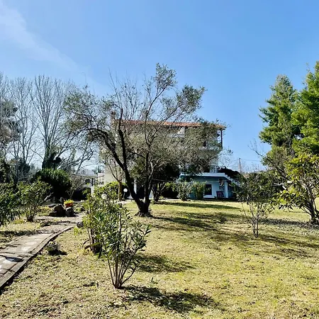 Forest Paradise * Криопиги