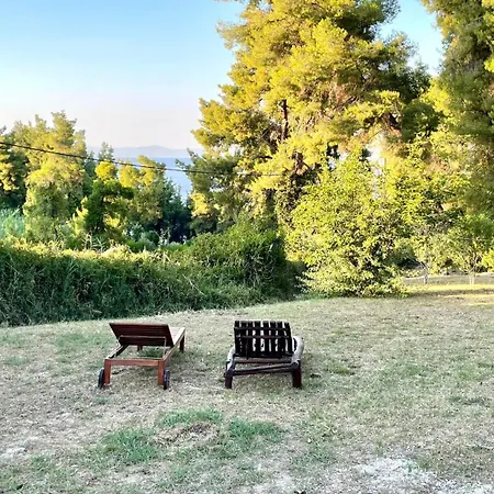 Forest Paradise * Криопиги