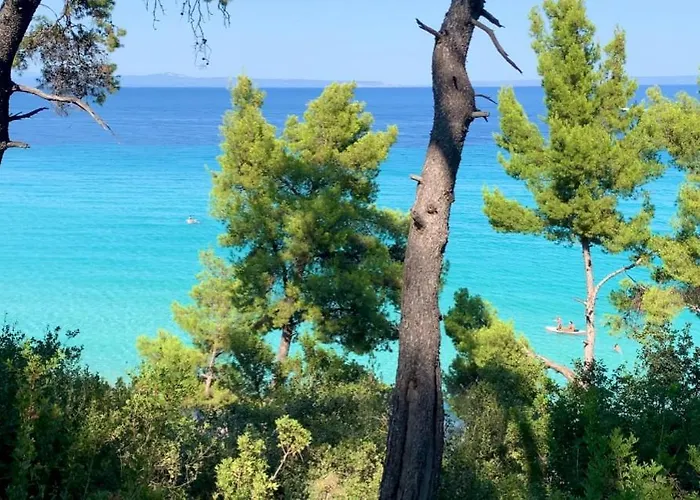 Forest Paradise * Kriopigi