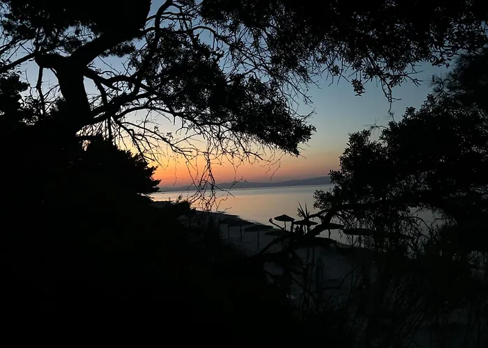 Forest Paradise Appartamento