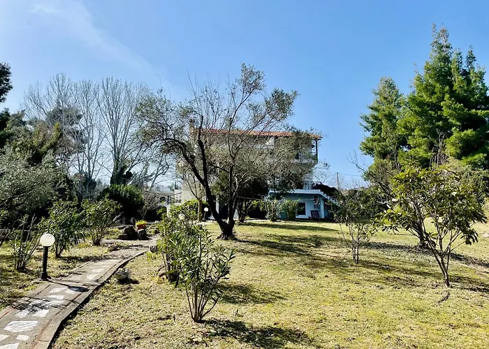 Forest Paradise * Kriopigi